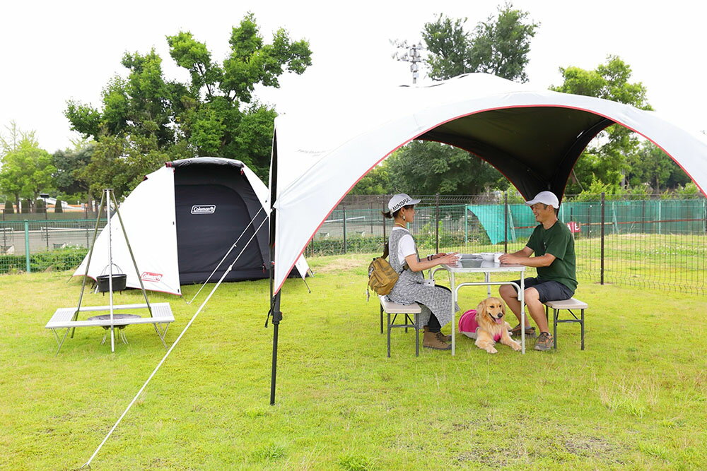 【ふるさと納税】ランタン守谷 キャンプ場・ドッグパーク 共通施設利用券【30,000円分】 チケット キャンプ ドッグラン ドッグプール 体験 守谷市 茨城県 送料無料 サムネイル2
