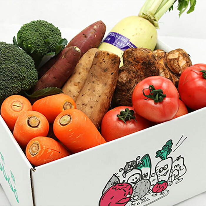 季節の採れたて野菜の詰め合わせ 新鮮野菜 詰め合わせ 那珂市産 茨城県産 国産 旬野菜 セット 新鮮 野菜セット 野菜 野菜BOX 旬 厳選 食材 産地直送 お取り寄せ グルメ 季節 野菜詰合わせ おまかせ 送料無料