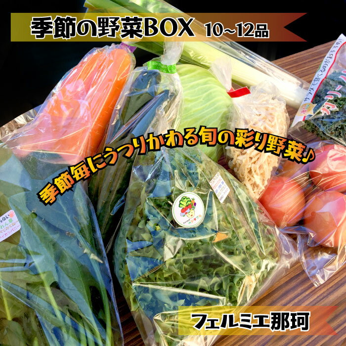 フェルミエ 野菜BOX10〜12品 旬野菜 セット 新鮮 トマト 大根 じゃがいも ほうれん草 きゅうり かぼちゃ ナス ピーマン ブロッコリー とうもろこし たまねぎ レタス 旬 厳選 食材 産地直送 季節 野菜詰合わせ おまかせ 送料無料