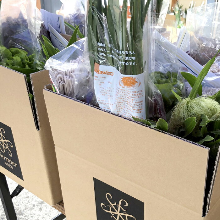 【ふるさと納税】フェルミエ 野菜BOX10〜12品 旬野菜 セット 新鮮 トマト 大根 じゃがいも ほうれん草 きゅうり かぼちゃ ナス ピーマン ブロッコリー とうもろこし たまねぎ レタス 旬 厳選 食材 産地直送 季節 野菜詰合わせ おまかせ 送料無料 - 画像2