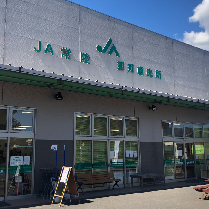 【ふるさと納税】季節の採れたて野菜の詰め合わせ 新鮮野菜 詰め合わせ 那珂市産 茨城県産 国産 旬野菜 セット 新鮮 野菜セット 野菜 野菜BOX 旬 厳選 食材 産地直送 お取り寄せ グルメ 季節 野菜詰合わせ おまかせ 送料無料 - 画像2