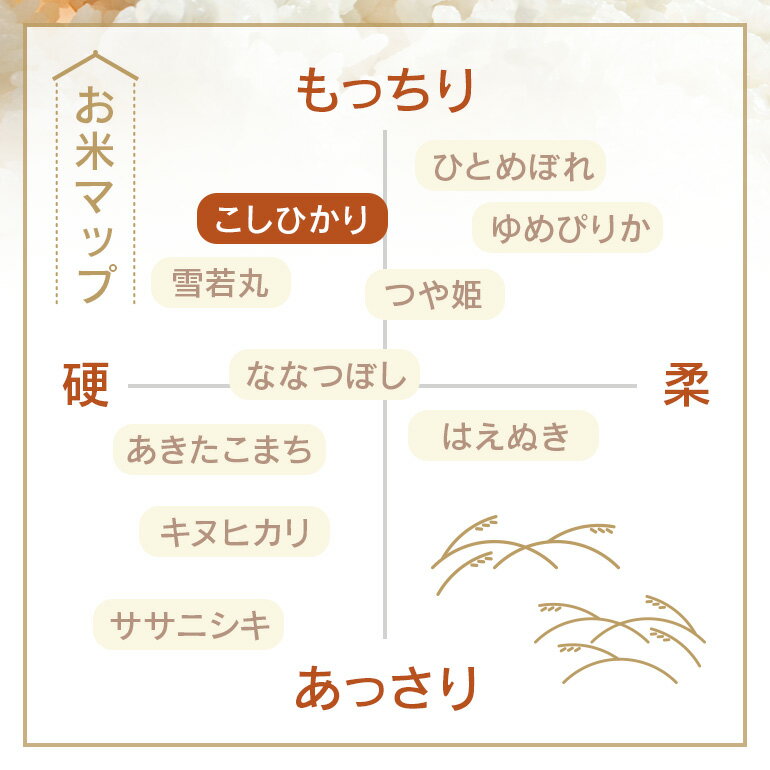 【ふるさと納税】令和7年度産 みねしまふぁーむ 常陸牛農家が育てるコシヒカリ 選べる 5kg 10kg 15kg 20kg 定期便 6か月 6ヶ月 コシヒカリ 低農薬 低化学肥料 米 精米 コシヒカリ米 茨城県産 白米 お米 コメ おこめ こしひかり 有機 ブランド 健康 ギフト 贈り物 送料無料 - 画像3