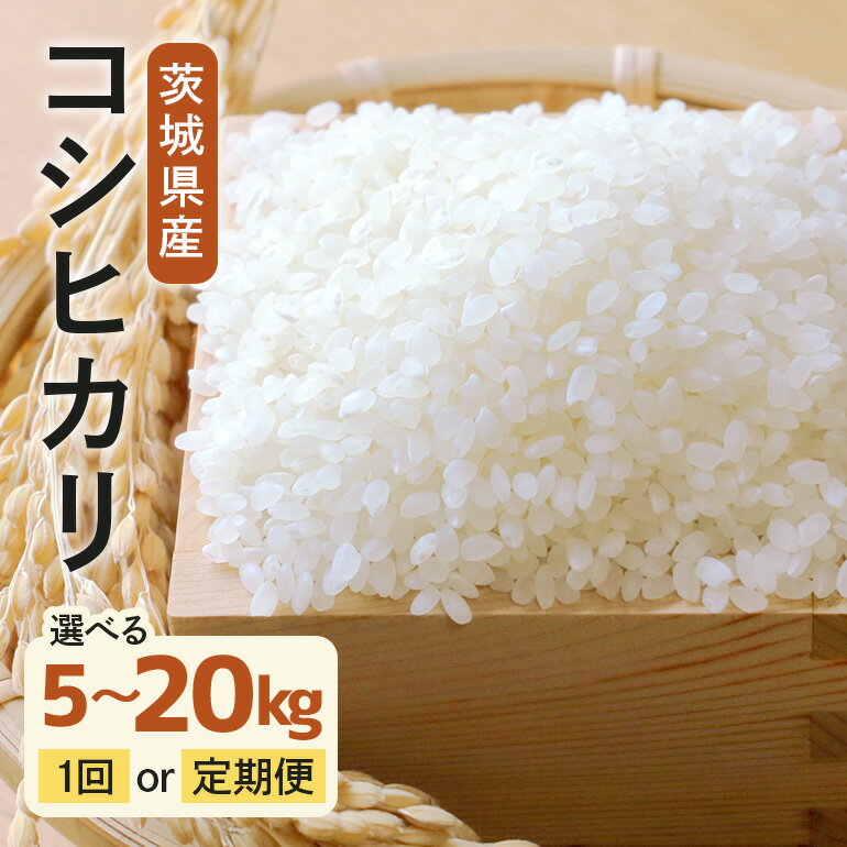 令和7年度産 みねしまふぁーむ 常陸牛農家が育てるコシヒカリ 選べる 5kg 10kg 15kg 20kg 定期便 6か月 6ヶ月 コシヒカリ 低農薬 低化学肥料 米 精米 コシヒカリ米 茨城県産 白米 お米 コメ おこめ こしひかり 有機 ブランド 健康 ギフト 贈り物 送料無料