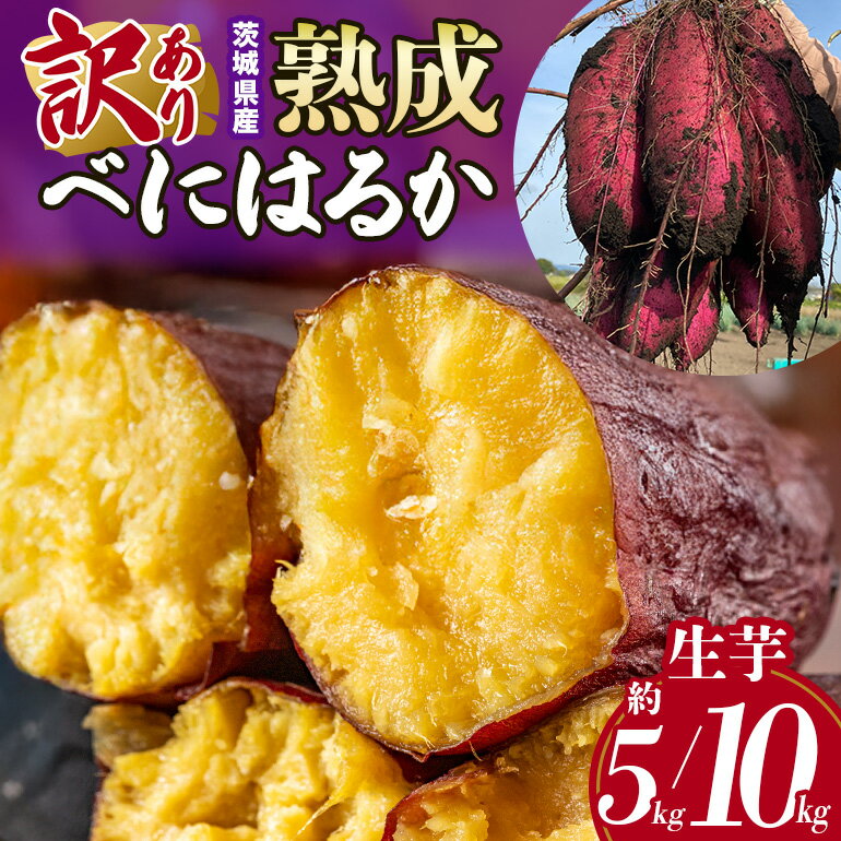 訳あり品！茨城県産熟成べにはるか 選べる 約5kg 10kg さつまいも サツマイモ 芋 いも 茨城県 那珂市 B15-005/B15-006