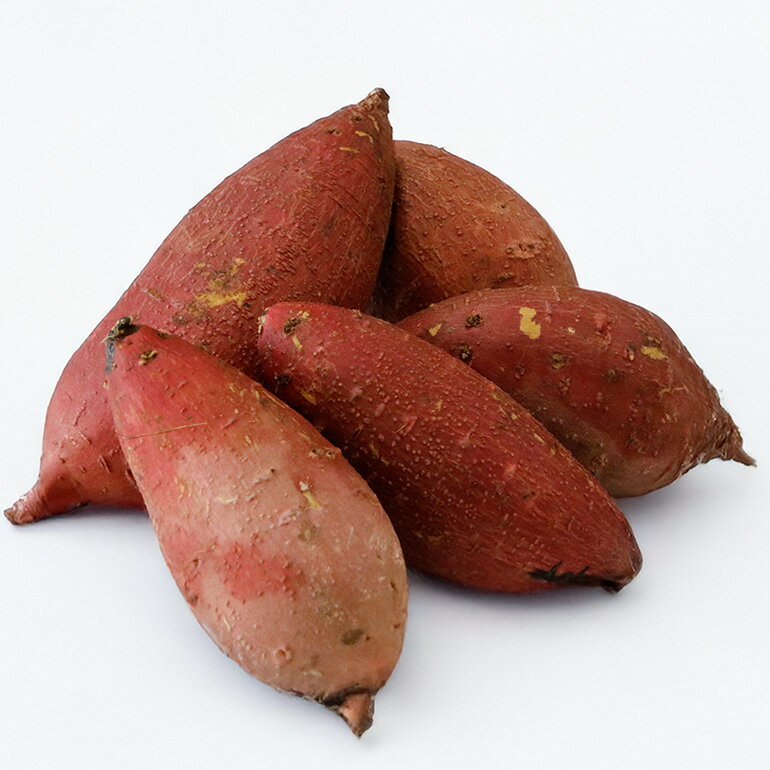 【ふるさと納税】 【京阪百貨店厳選】茨城県産ほしあかね 5kg 10kg [A品L～2Lサイズ] [サイズ無選別品] 芋 さつま芋 サツマイモ さつまいも B18-SKU-003 - 画像2