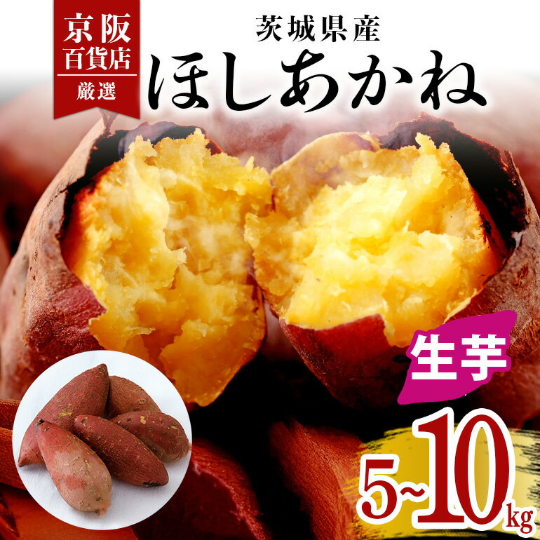 【京阪百貨店厳選】茨城県産ほしあかね 5kg 10kg [A品L～2Lサイズ] [サイズ無選別品] 芋 さつま芋 サツマイモ さつまいも B18-SKU-003