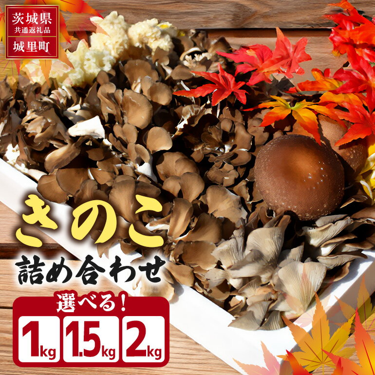 きのこの詰め合わせ 選べる S M L サイズ 1kg 1.5kg 2kg 茨城県共通返礼品 城里町産 舞茸 椎茸 あわび茸 たもぎ茸 はなびら茸 完全室内栽培 栽培期間中農薬不使用 安心 安全 栄養豊富 こだわりのキノコ詰め合わせ 直送 新鮮 おすすめ セット 贈り物 送料無料
