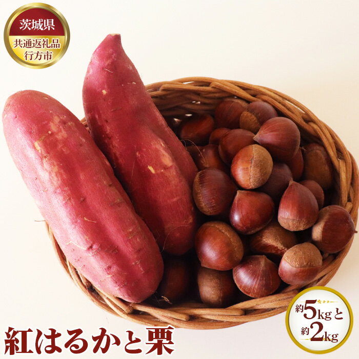 【先行予約】紅はるか 約5kgと栗 約2kg【茨城県共通返礼品 行方市】 ／ 秋 新鮮 さつま芋 サツマイモ くり クリ 野菜 果物 送料無料 茨城県 No.634