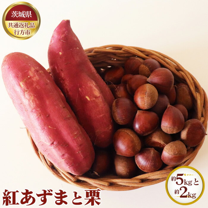 【先行予約】紅あずま 約5kgと栗 約2kg【茨城県共通返礼品 行方市】 ／ 秋 新鮮 さつま芋 サツマイモ くり クリ 野菜 果物 送料無料 茨城県 No.635
