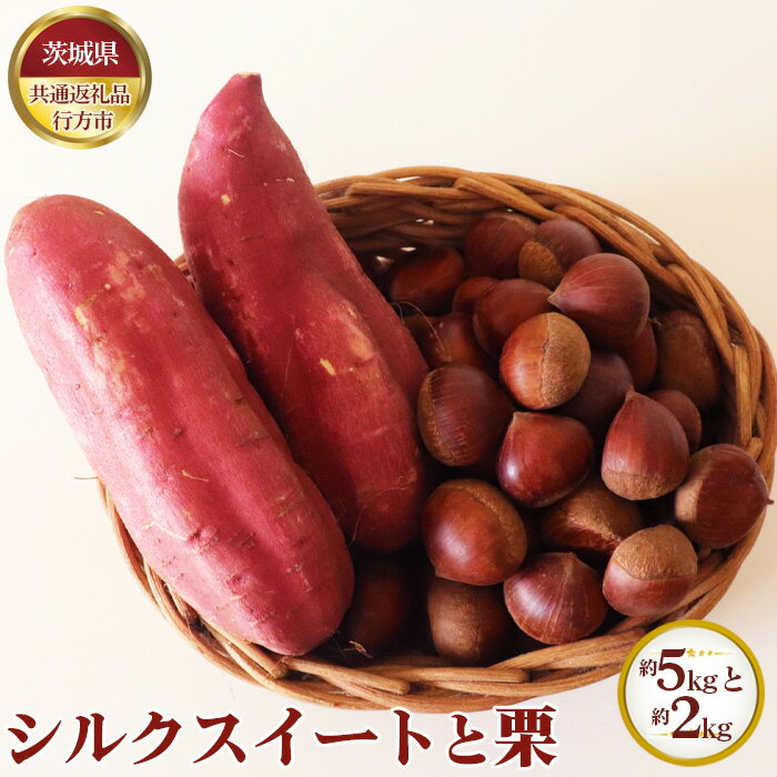 【先行予約】シルクスイート 約5kgと栗 約2kg【茨城県共通返礼品 行方市】 ／ 秋 新鮮 さつま芋 サツマイモ くり クリ 野菜 果物 送料無料 茨城県 No.636
