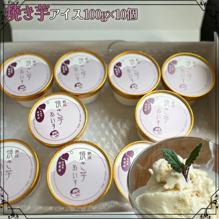 焼き芋アイス100g×10個 ／ 紅はるか 焼芋 焼いも 蜜 甘い 農薬 化学肥料不使用 送料無料 茨城県 No.689