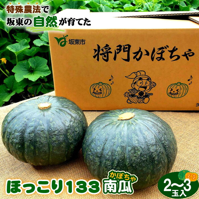 特殊農法で坂東の自然が育てた「ほっこり133南瓜」2～3玉入 ／ かぼちゃ カボチャ ホクホク 甘味 品質 糖度 野菜 送料無料 茨城県 No.842