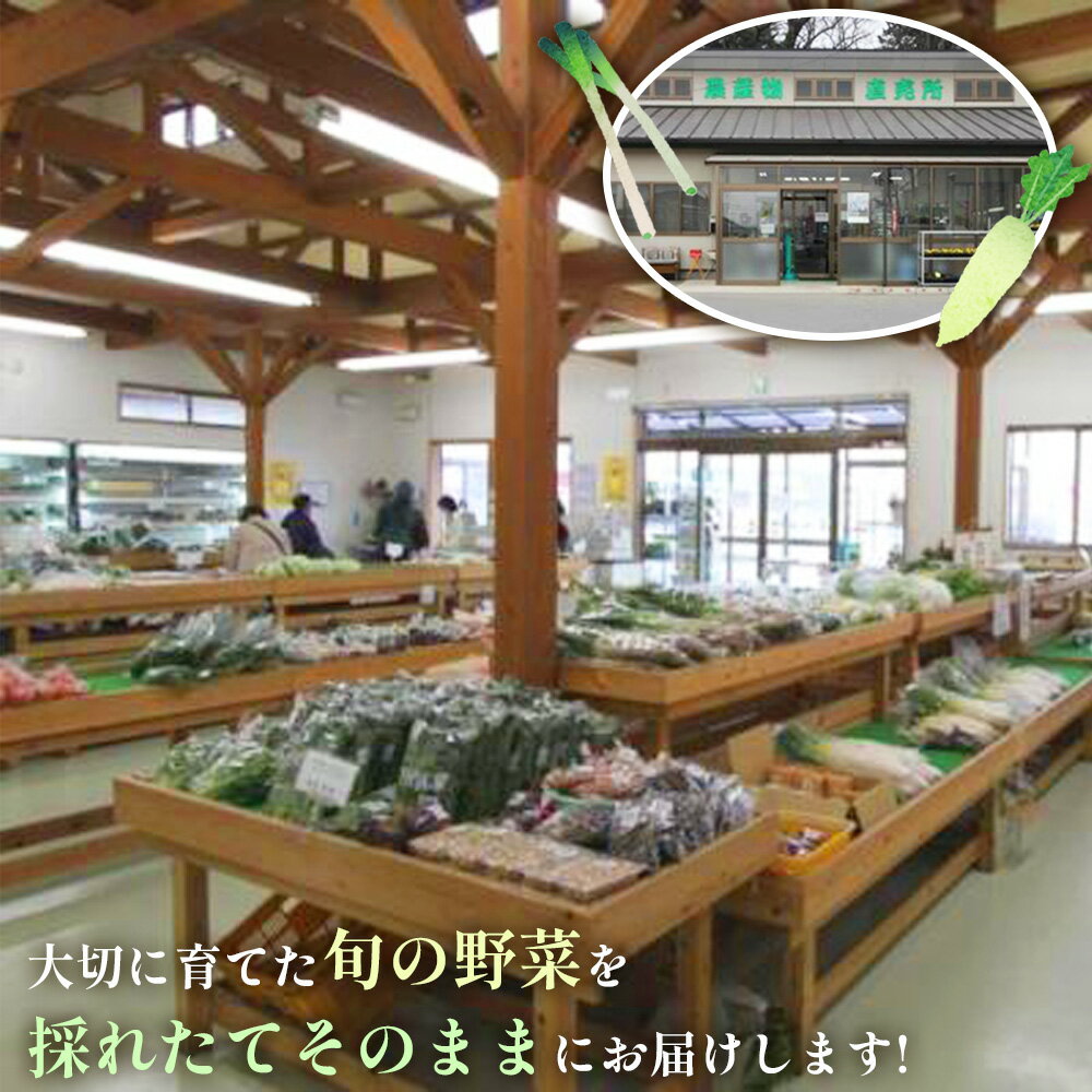 【ふるさと納税】【坂東市産】季節のお野菜詰め合わせ ／ やさい 野菜 旬 産地直送 新鮮 詰め合わせ 旬の野菜セット 葉物野菜 根菜 トマト レタス 時短料理 常備菜 おうちごはん 野菜不足解消 彩り野菜 贈り物 ギフト 生活応援 季節限定 茨城県 No.876 - 画像2