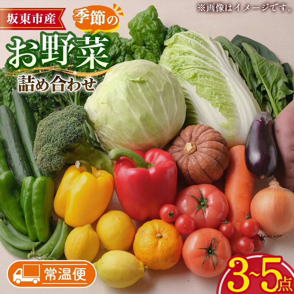 【坂東市産】季節のお野菜詰め合わせ ／ やさい 野菜 旬 産地直送 新鮮 詰め合わせ 旬の野菜セット 葉物野菜 根菜 トマト レタス 時短料理 常備菜 おうちごはん 野菜不足解消 彩り野菜 贈り物 ギフト 生活応援 季節限定 茨城県 No.876