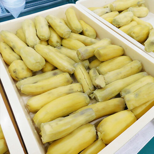 【ふるさと納税】坂東市産　干し芋　紅はるか（計740g/180g×3袋・100g×2袋） ／ さつまいも べにはるか 無農薬 化学肥料不使用 送料無料 茨城県 No.214 - 画像3