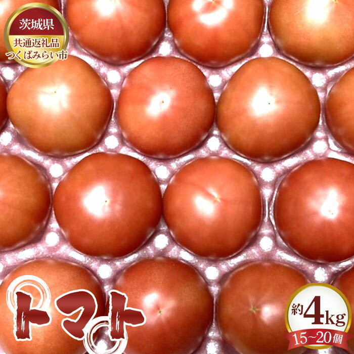 トマト　約4kg（15～20個）【茨城県共通返礼品 つくばみらい市】 ／ 旬 新鮮 とまと 野菜 送料無料 茨城県 No.331