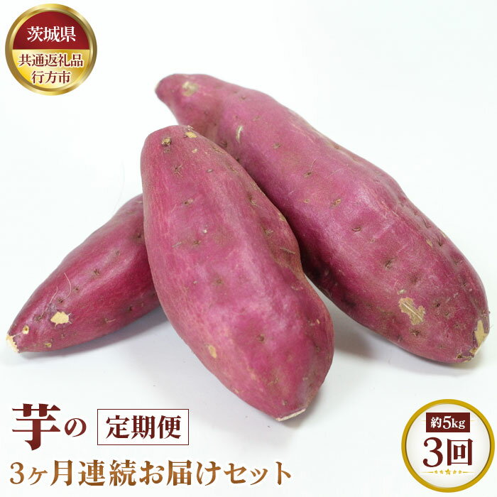 【先行予約】芋の3ヵ月連続お届けセット　約5kg×3回【茨城県共通返礼品 行方市】 ／ 旬 新鮮 さつま芋 サツマイモ 野菜 定期便 送料無料 茨城県 No.371