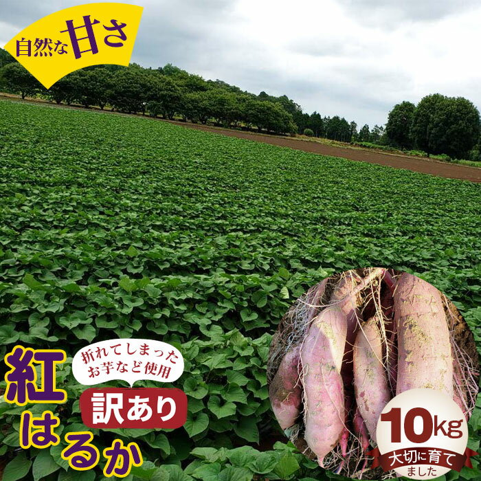 【訳あり】紅はるか10kg ／ 自然 芋 いも 甘い 天然資材 さつまいも 送料無料 茨城県 No.395