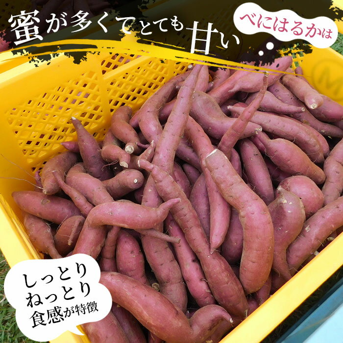 【ふるさと納税】【箱入り】坂東市産　生さつまいも　紅はるか5kg（泥付きS、M、L混載）／さつまいも サツマイモ 焼き芋 しっとり 送料無料 茨城県 No.518 - 画像2