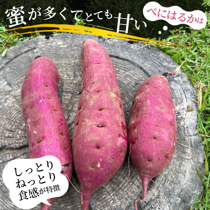 【ふるさと納税】坂東市産　冷凍焼きいも　紅はるか2kg／さつまいも サツマイモ 焼き芋 しっとり 送料無料 茨城県 No.528 - 画像3