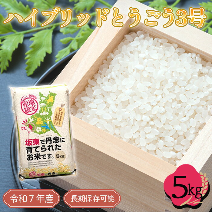 「令和7年産米」ハイブリッドとうごう3号　5kg【長期保存可能！】 ／ お米 コメ 粘り 送料無料 茨城県 No.760