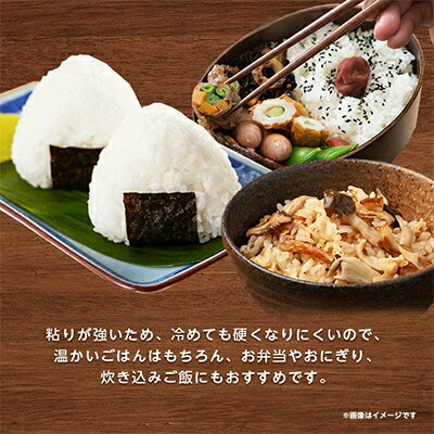 【ふるさと納税】新米【令和7年産】ミルキークイーンのふるさと『稲敷市』からふっくらもっちりミルキークイーン10kg_ 米 こめ お米 精米 精白米 白米 ミルキークイーン ブランド米 人気 おすすめ 送料無料 贈答【配送不可地域：離島・沖縄県】【1083437】 サムネイル2