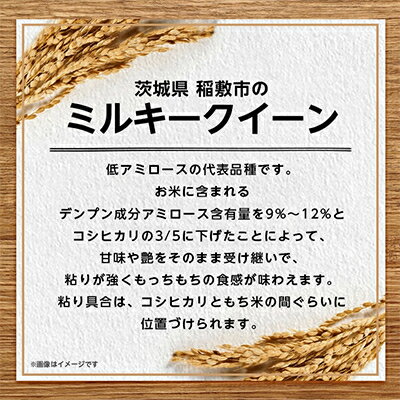 【ふるさと納税】新米【令和7年産】ミルキークイーンのふるさと『稲敷市』からふっくらもっちりミルキークイーン10kg_ 米 こめ お米 精米 精白米 白米 ミルキークイーン ブランド米 人気 おすすめ 送料無料 贈答【配送不可地域：離島・沖縄県】【1083437】 サムネイル3
