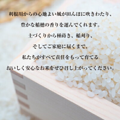 【ふるさと納税】【令和7年産・自家栽培・自家精米・農家直送】稲敷市産あきたこまち無洗米　10kg/20kg【配送不可地域：離島・沖縄県】【G1430545】 - 画像2