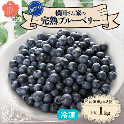 横田さん家の訳アリ冷凍完熟ブルーベリー　500g×2袋【配送不可地域：離島・沖縄県】【1641905】