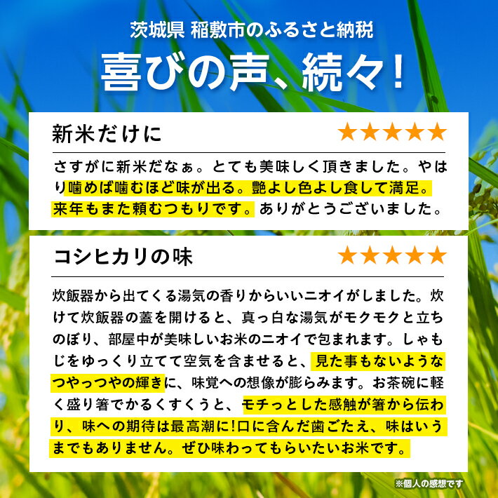 【ふるさと納税】新米【令和7年産】代表的なお米　茨城県産コシヒカリ10kg_ 米 こめ お米 精米 精白米 白米 こしひかり ブランド米 人気 おすすめ 送料無料 贈答 ギフト 【配送不可地域：離島・沖縄県】【1083438】 サムネイル2