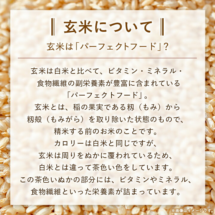 【ふるさと納税】寝かせ玄米ごはんパック160g 4種ミックス　6食/12食/24食/48食_ 玄米 ごはん ご飯 パックごはん 寝かせ玄米 セット 雑穀 人気 おすすめ 送料無料 贈答 便利 簡単調理 レンチン 【配送不可地域：離島・沖縄県】【G1587838】 - 画像3