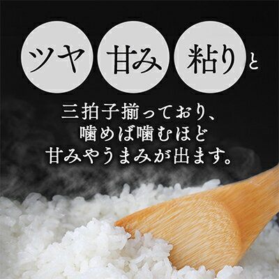 【ふるさと納税】【令和7年産】稲敷産こしひかり10kg(5kg×2袋)【配送不可地域：離島・沖縄県】【1092022】 - 画像2