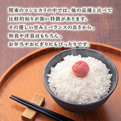 【ふるさと納税】【令和7年産】稲敷産こしひかり10kg(5kg×2袋)【配送不可地域：離島・沖縄県】【1092022】 - 画像3