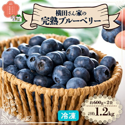 横田さん家の冷凍完熟ブルーベリー　2パック【配送不可地域：離島・沖縄県】【1085839】