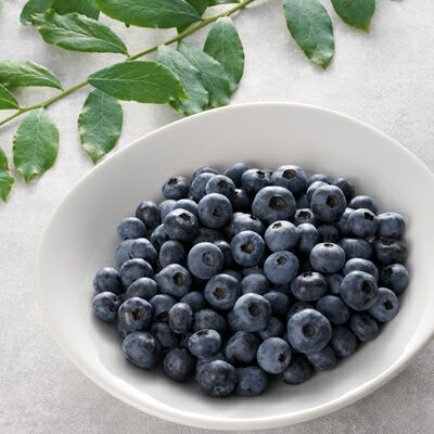 【ふるさと納税】横田さん家の冷凍完熟ブルーベリー　2パック【配送不可地域：離島・沖縄県】【1085839】 サムネイル2