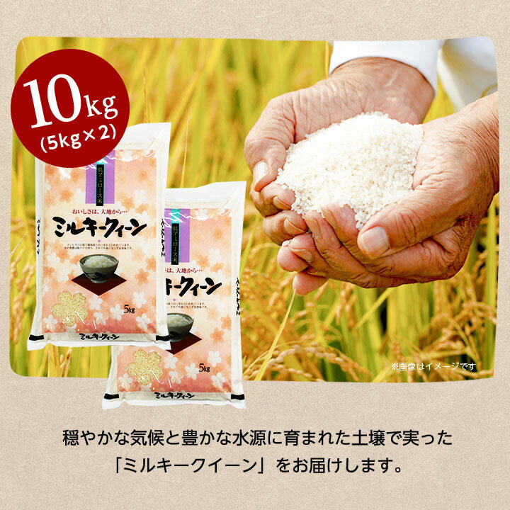 【ふるさと納税】【令和7年産】稲敷市産ミルキークイーン10kg (5kg×2)【配送不可地域：離島・沖縄県】【1133507】 - 画像3