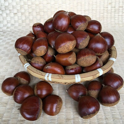 茨城県かすみがうら市産 熟成 生栗 3Lサイズ　約2kg〈2025年11月上旬より順次発送予定〉【配送不可地域：離島】【1123858】