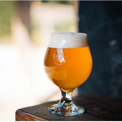 【ふるさと納税】クラフトビール　『澤乃不二』(ペールエール) 3本セット【配送不可地域：離島】【1398383】 サムネイル3