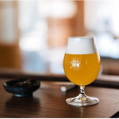 【ふるさと納税】季節限定醸造　『霞ヶ浦ゆずエール』　12本セット【配送不可地域：離島】【1402289】 サムネイル2