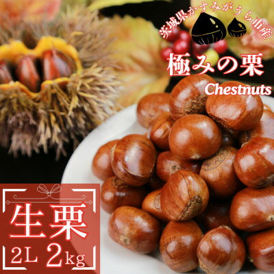 【先行予約】かすみがうら市産　生栗　2Lサイズ　2kg【配送不可地域：離島】【1437711】