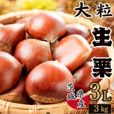 かすみがうら市産　生栗　3Lサイズ　3kg【配送不可地域：離島】【1437717】