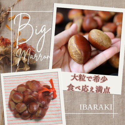 【ふるさと納税】かすみがうら市産　生栗　3Lサイズ　3kg【配送不可地域：離島】【1437717】 サムネイル2