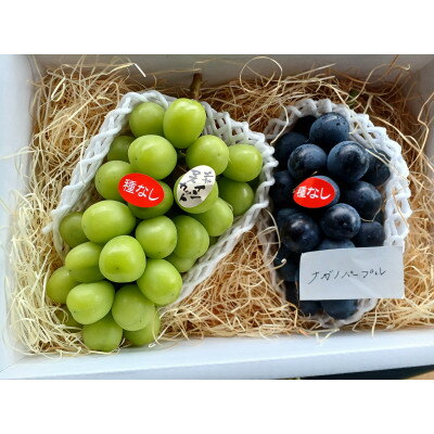 【ふるさと納税】圧巻の味ナガノパープルと貴方の思考を変える味シャインマスカット　約1.2kg(2～3房)【配送不可地域：離島】【1470009】 サムネイル3