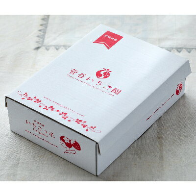 【ふるさと納税】菅谷いちご園の完熟いちご『いちごっ子』 3Lサイズ 11粒×2パック【配送不可地域：離島・北海道・沖縄県・信越、北陸・東海・近畿・中国・四国・九州】【1484628】 サムネイル3