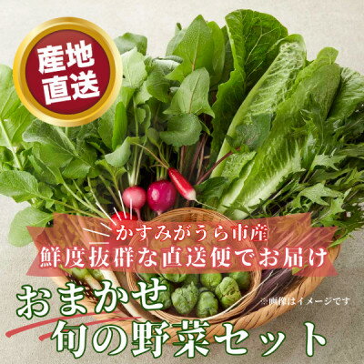 かすみがうら市産 旬の野菜おまかせセット 7～9種(2～3名様分)【配送不可地域：離島】【1604066】