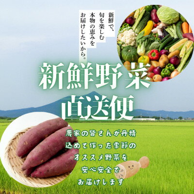 【ふるさと納税】かすみがうら市産 旬の野菜おまかせセット 7～9種(2～3名様分)【配送不可地域：離島】【1604066】 - 画像2