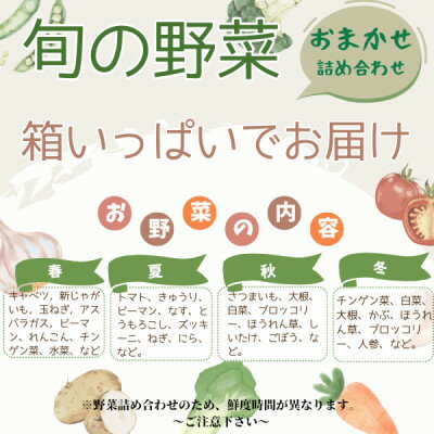 【ふるさと納税】かすみがうら市産 旬の野菜おまかせセット 7～9種(2～3名様分)【配送不可地域：離島】【1604066】 - 画像3