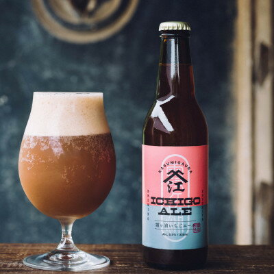 【ふるさと納税】霞ヶ浦いちごエール 茨城県産 330ml×3本セット【配送不可地域：離島】【1613504】 サムネイル2