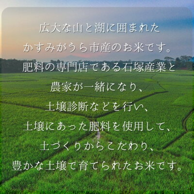 【ふるさと納税】極上ふるさと米　精米5kg【配送不可地域：離島・北海道・沖縄県】【1703564】 - 画像3