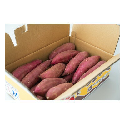 茨城県産紅はるか 計5kg【1717818】